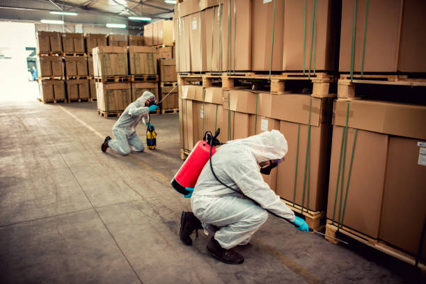 Best Pest Control Near Me  in Farmingdale, NY