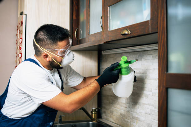 Best Flea Control Services  in Farmingdale, NY