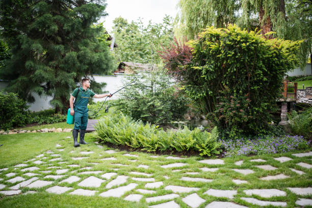 Best Pest Prevention Services  in Farmingdale, NY