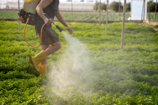 Best Local Pest Control Services  in Farmingdale, NY
