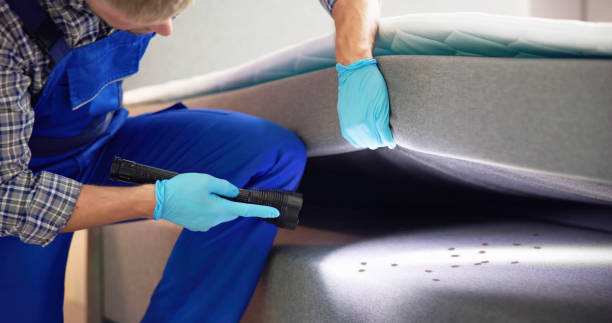 Best Pest Control Treatment  in Farmingdale, NY