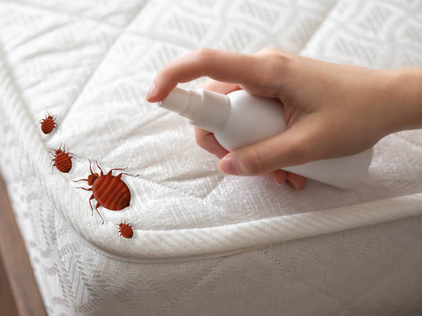 Farmingdale, NY Pest Control Company