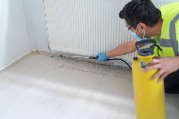 Best Pest Prevention Services  in Farmingdale, NY
